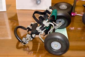 three legged cats wheel chair picture by paul houle