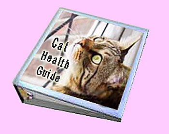 cat health symptoms cat health symptoms