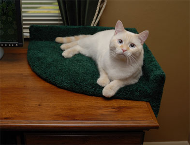 Cat Desk Bed