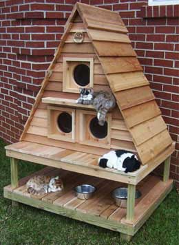 The Best Cat Kennel Choices for the Comfort and Safety of Your Cat