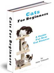 cats for beginners