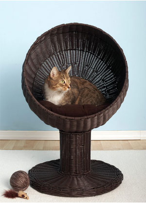 High cat sales beds
