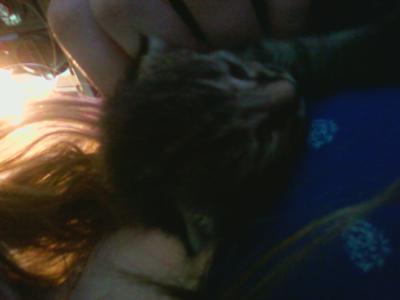 My 3 week old Kitten