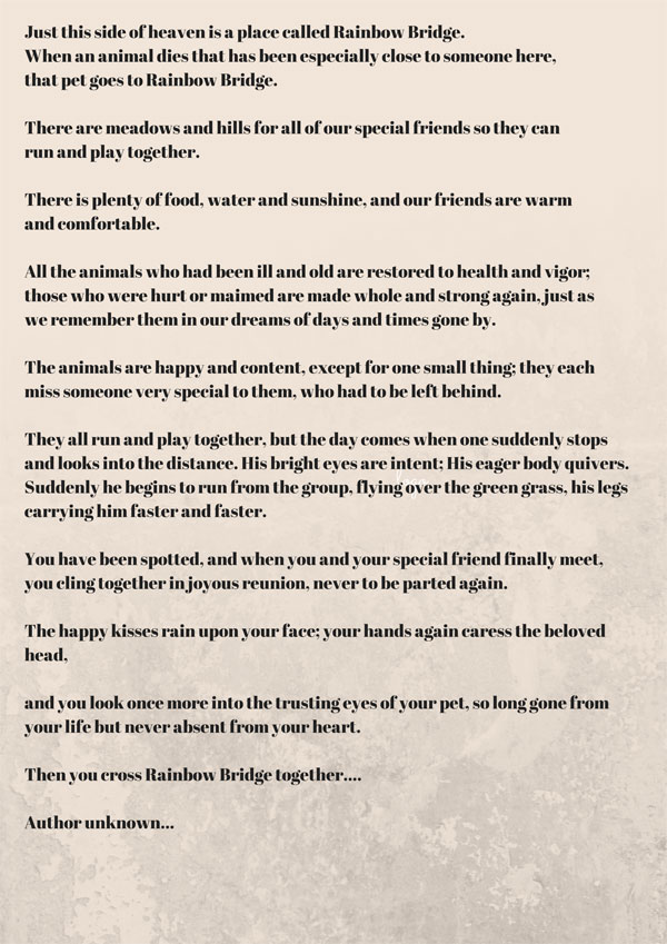 The Rainbow Bridge Story The Rainbow Bridge Story