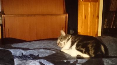 shelley sleeping 