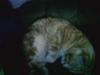 All Curled Up
