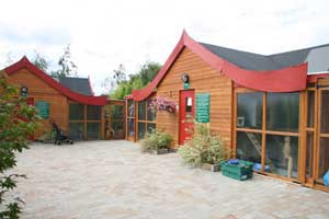 Wood green best sale animal rescue centre
