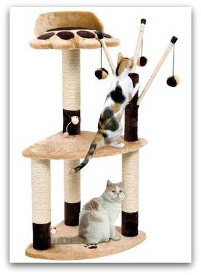 cat scratching post