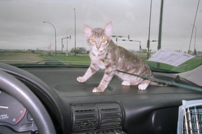 his first road trip on our big move