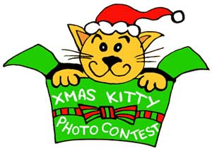 cat photo contest