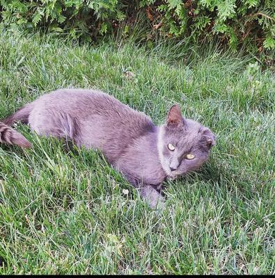 Mr. Mabel enjoying the sunshine