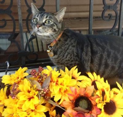 Smelling the flowers