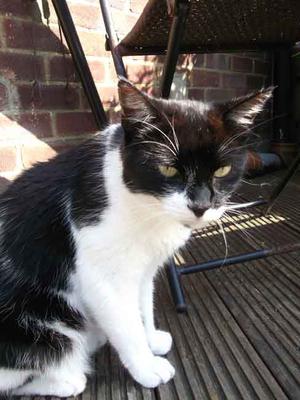 Byron sitting on the sun deck